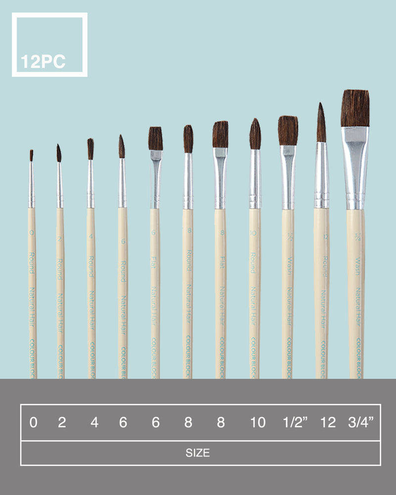 Colour Block Bristle Paint Brush Set - 12 Pack
